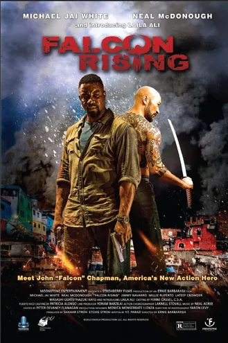 بوستر فلم Falcon Rising 