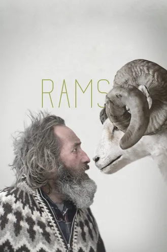 بوستر فلم Rams الكباش