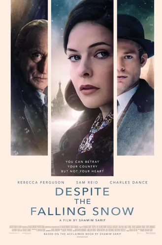 بوستر فلم Despite the Falling Snow 