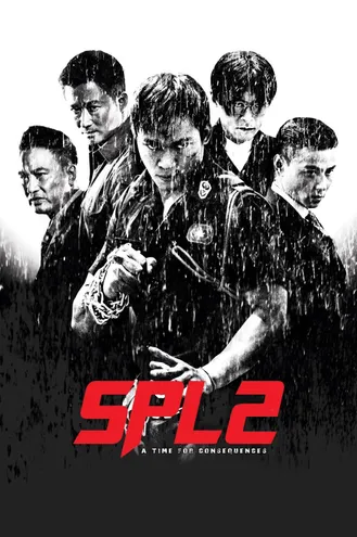 بوستر فلم Kill Zone 2 منطقة قتل 2