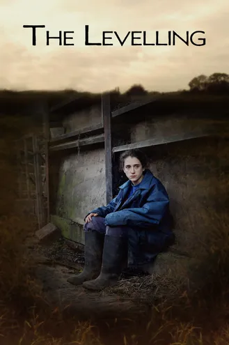 بوستر فلم The Levelling 