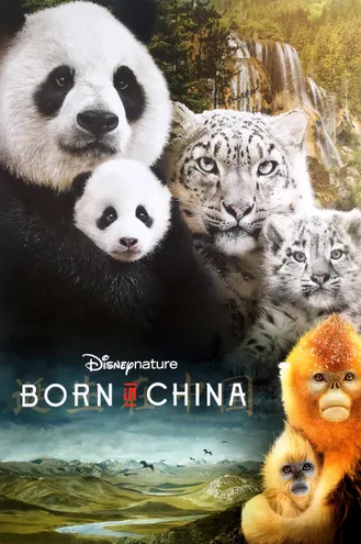 بوستر فلم Born in China 