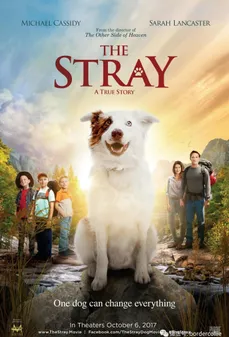 مشاهدة وتحميل فلم The Stray  اونلاين