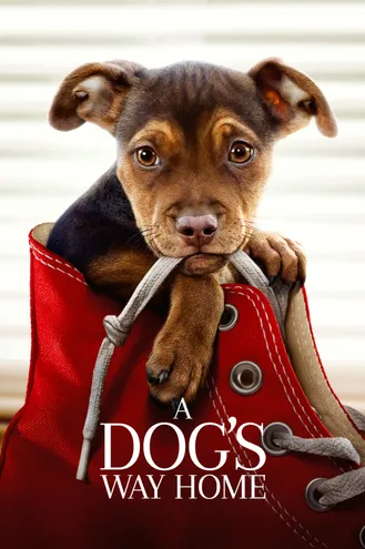 بوستر فلم A Dog’s Way Home طريق كلب إلى البيت