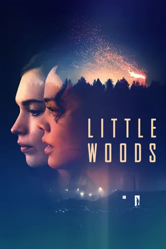 بوستر فلم Little Woods غابات صغيرة