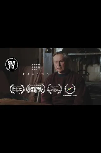 بوستر فلم 73 Cows 73 بقرة