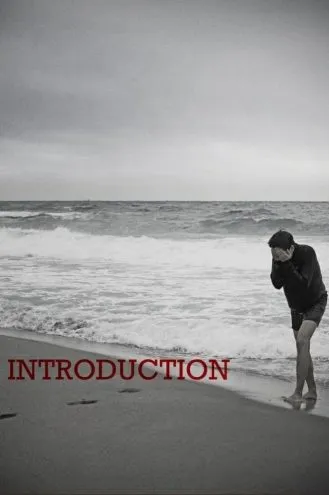 بوستر فلم Introduction المقدمة