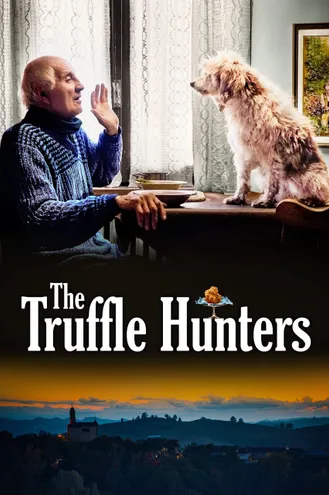 بوستر فلم The Truffle Hunters صيادي الكمأة