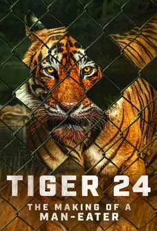 مشاهدة وتحميل فلم Tiger 24 نمر 24 اونلاين