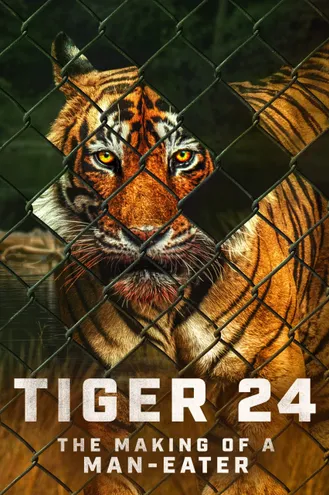 بوستر فلم Tiger 24 نمر 24
