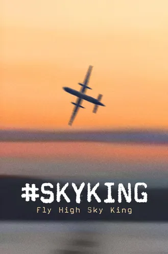 بوستر فلم #SKYKING #ملك_السماء